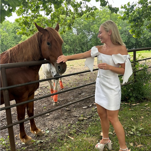 Alexia Maria Isabella Silk Wool Blend Mini Dress- Size 2 - Picture 1 of 3
